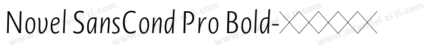Novel SansCond Pro Bold字体转换